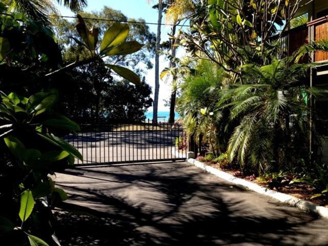 Coconut Palms On The Bay Aparthotel Hervey Bay Ngoại thất bức ảnh